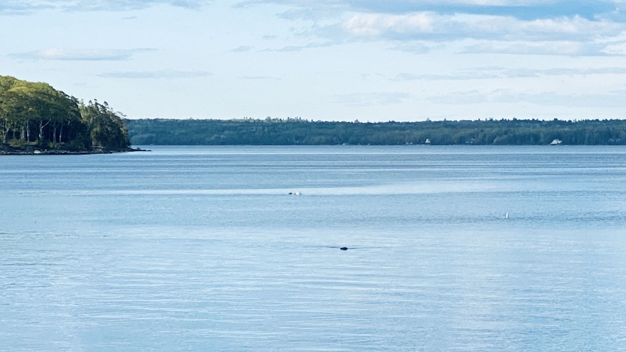 Photo of Others in Surry