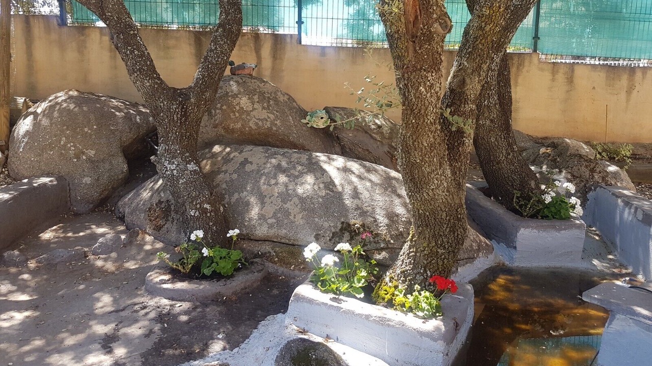 Photo of Outdoor in Zarzuela del Monte