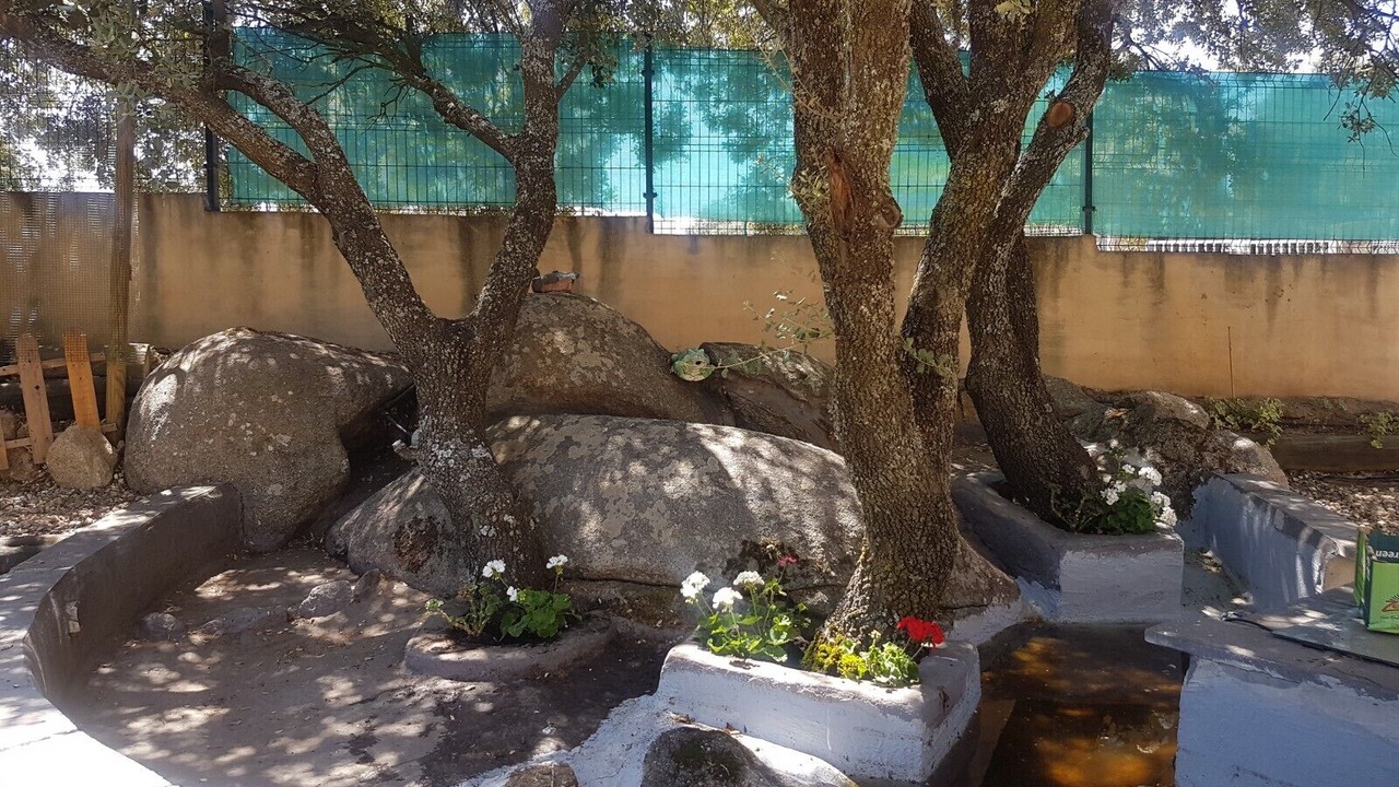 Photo of Outdoor in Zarzuela del Monte
