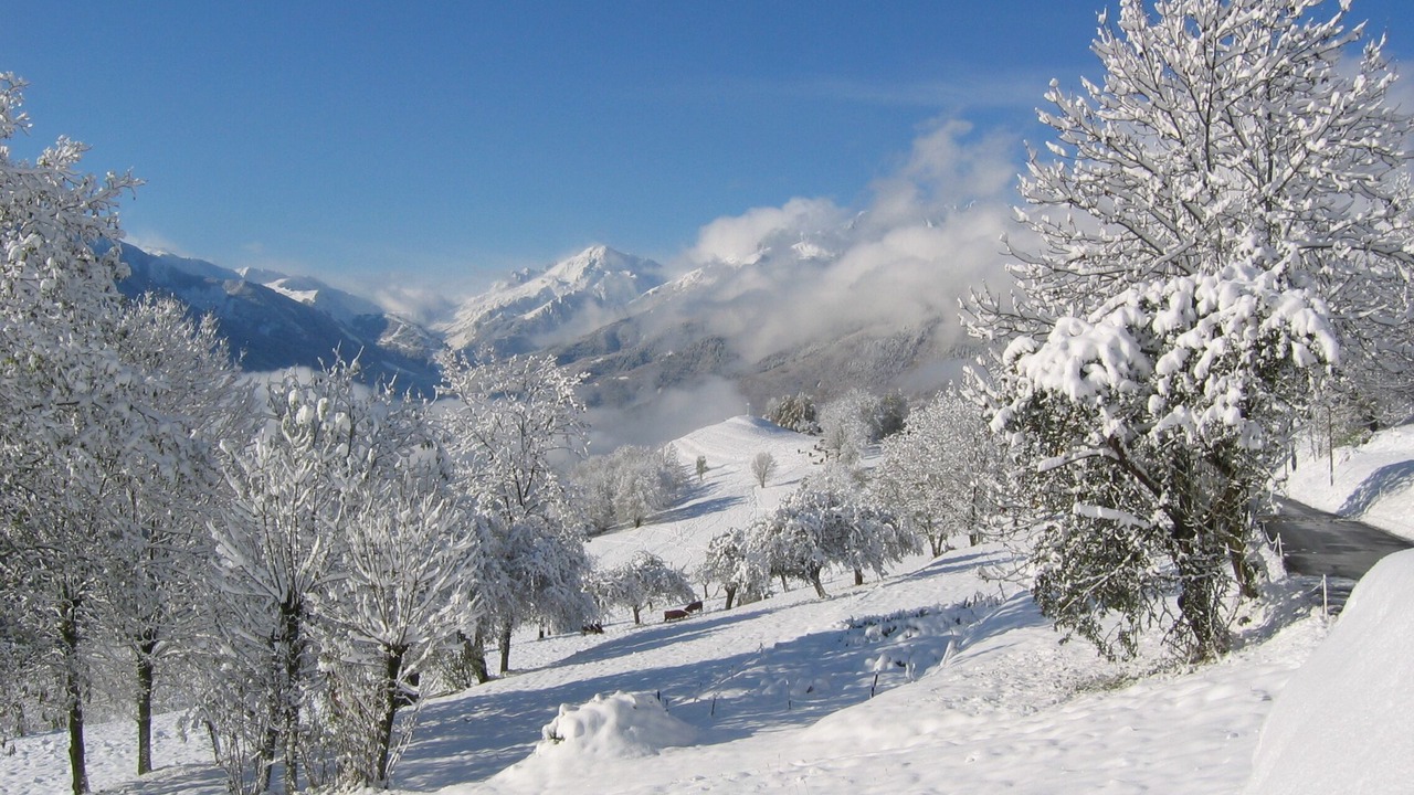 Photo of Others in Montaimont