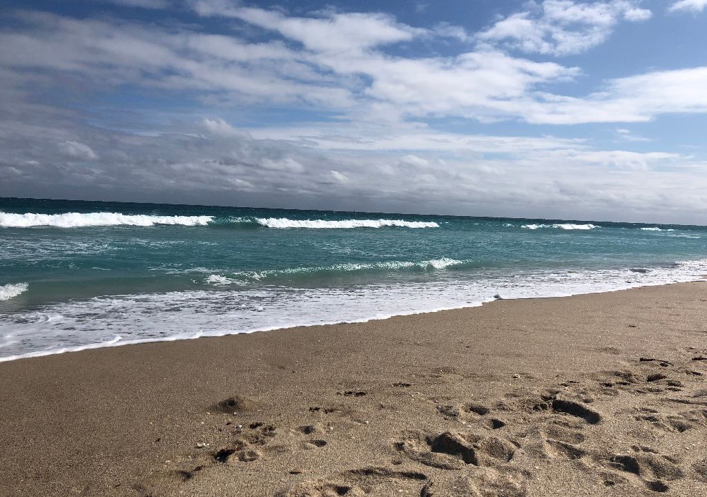 Photo of Others in Palm Beach