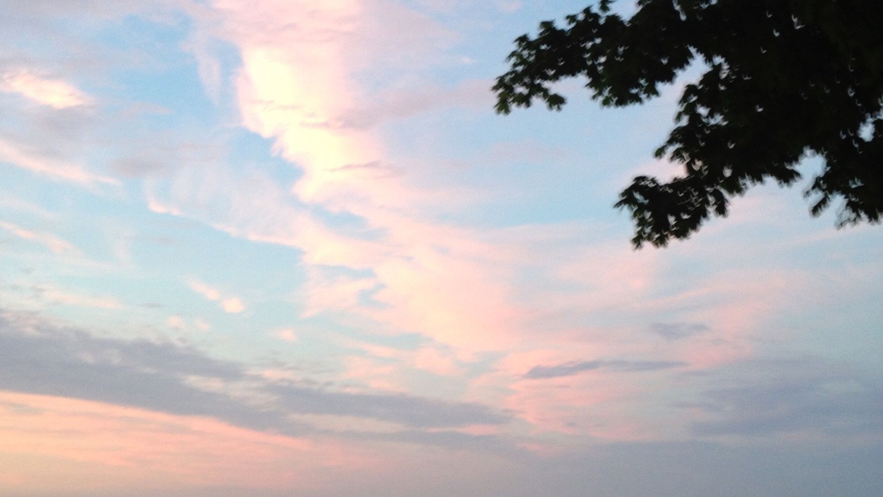 Photo of Others in Sodus Point