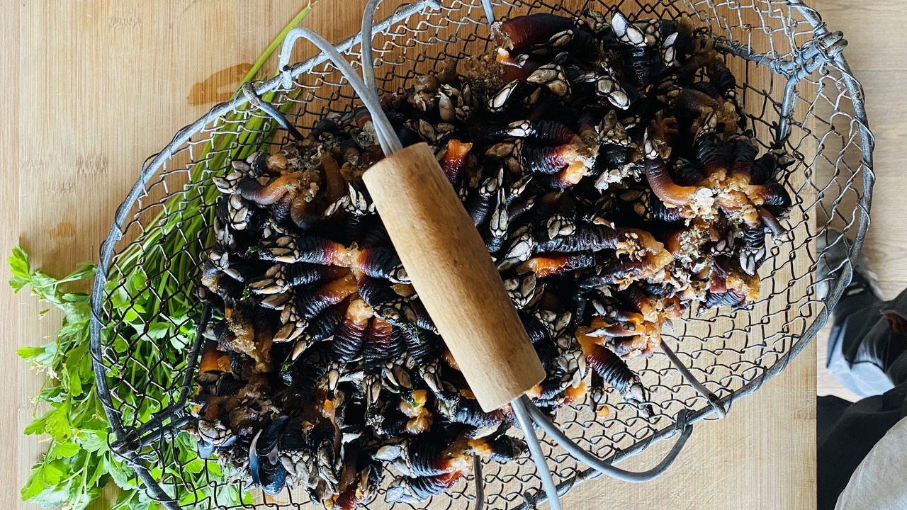 Photo of Others in Quiberon