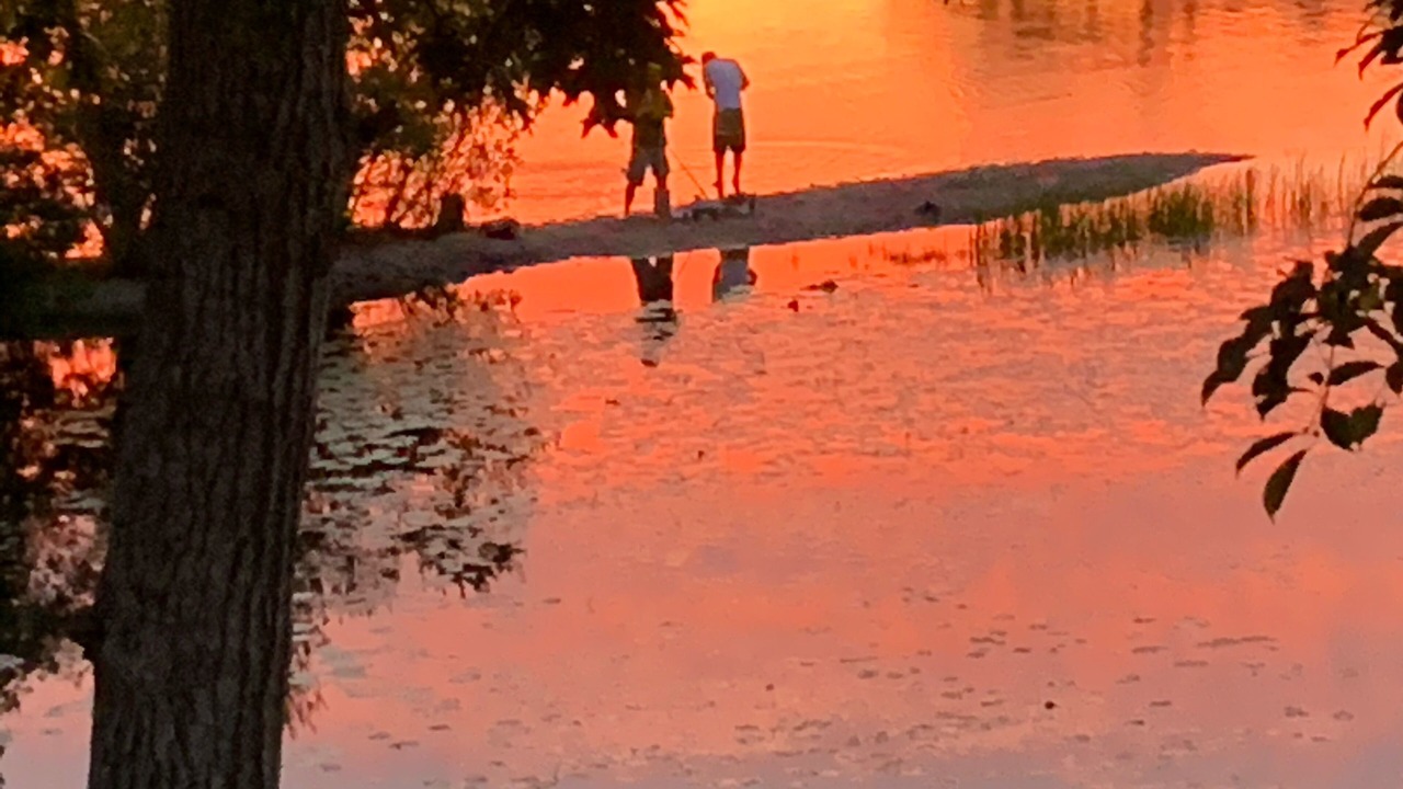 Photo of Others in East Harwich