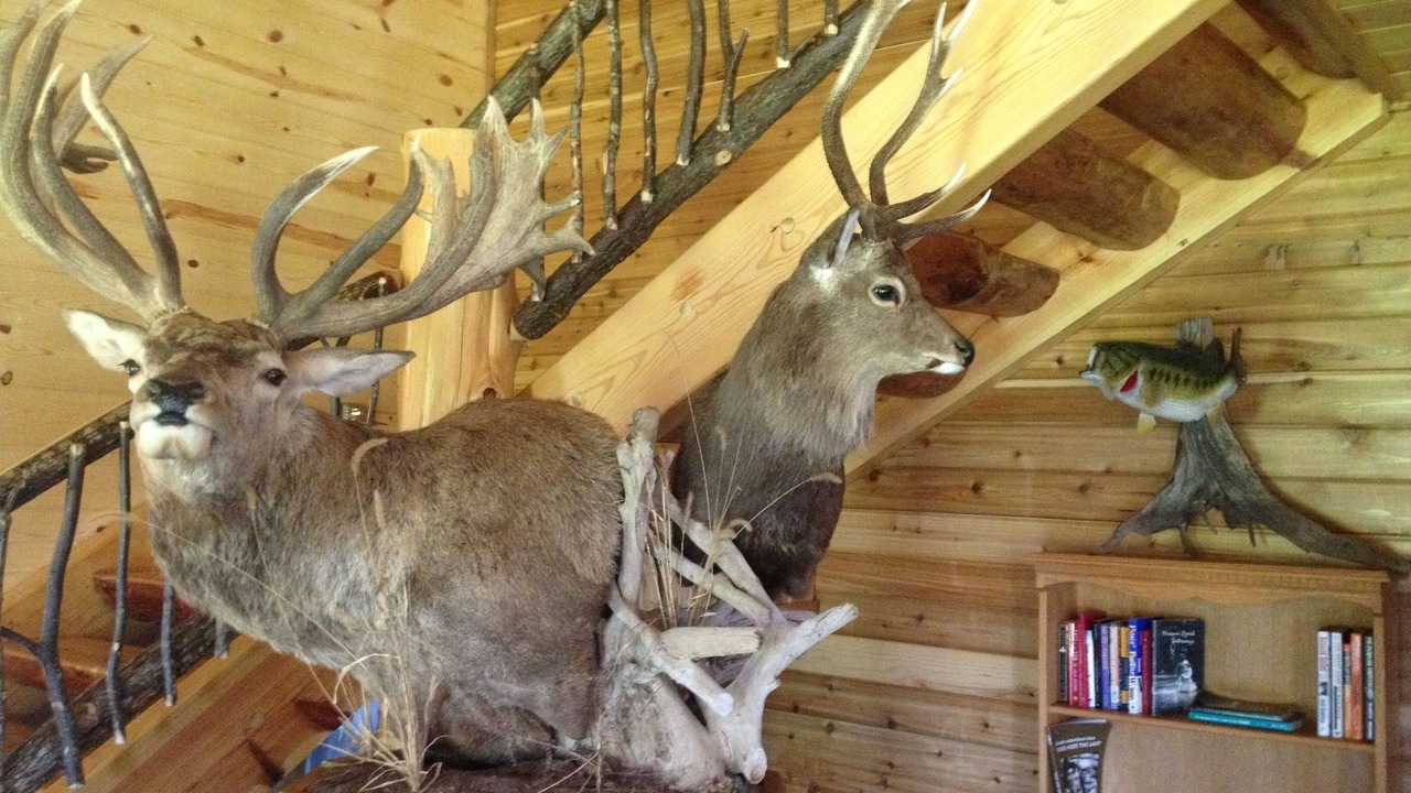 Photo of Others in Doniphan
