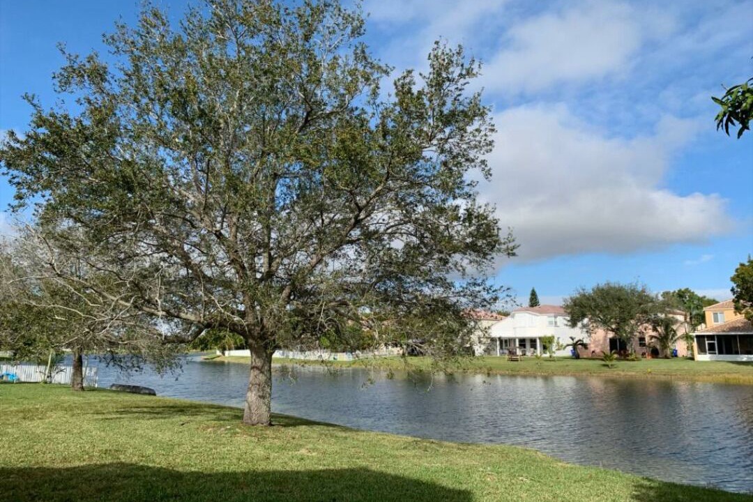 Photo of Others in Towngate