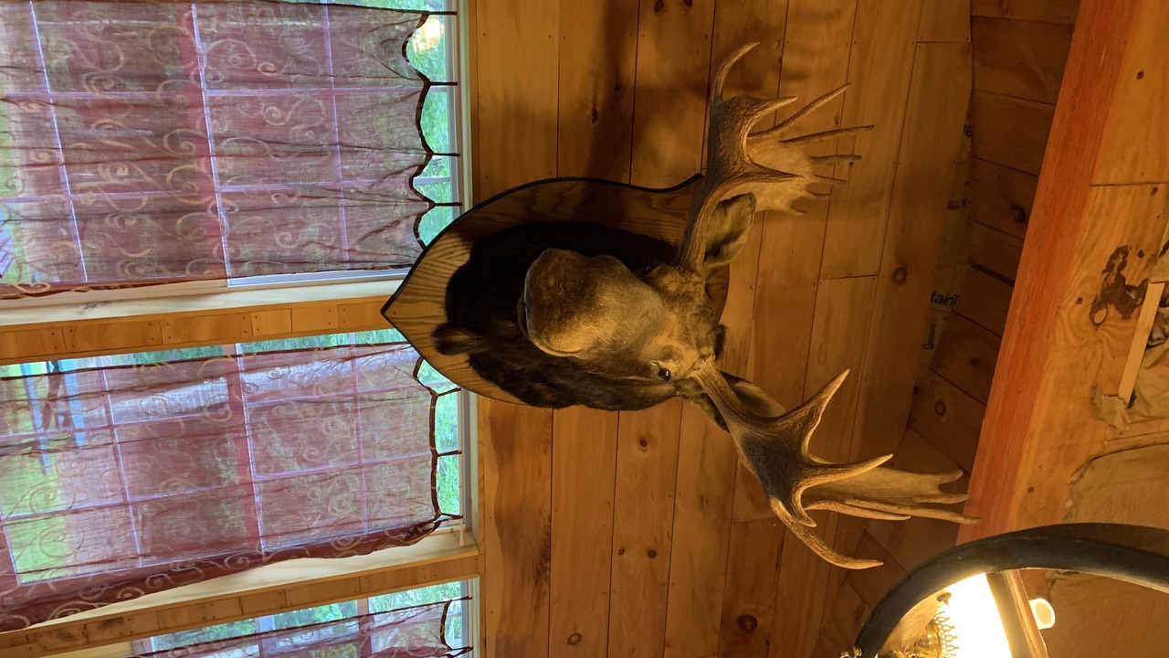 Photo of Others in Glenfield