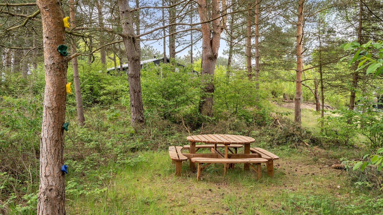 Photo of Others in Vibæk Strand