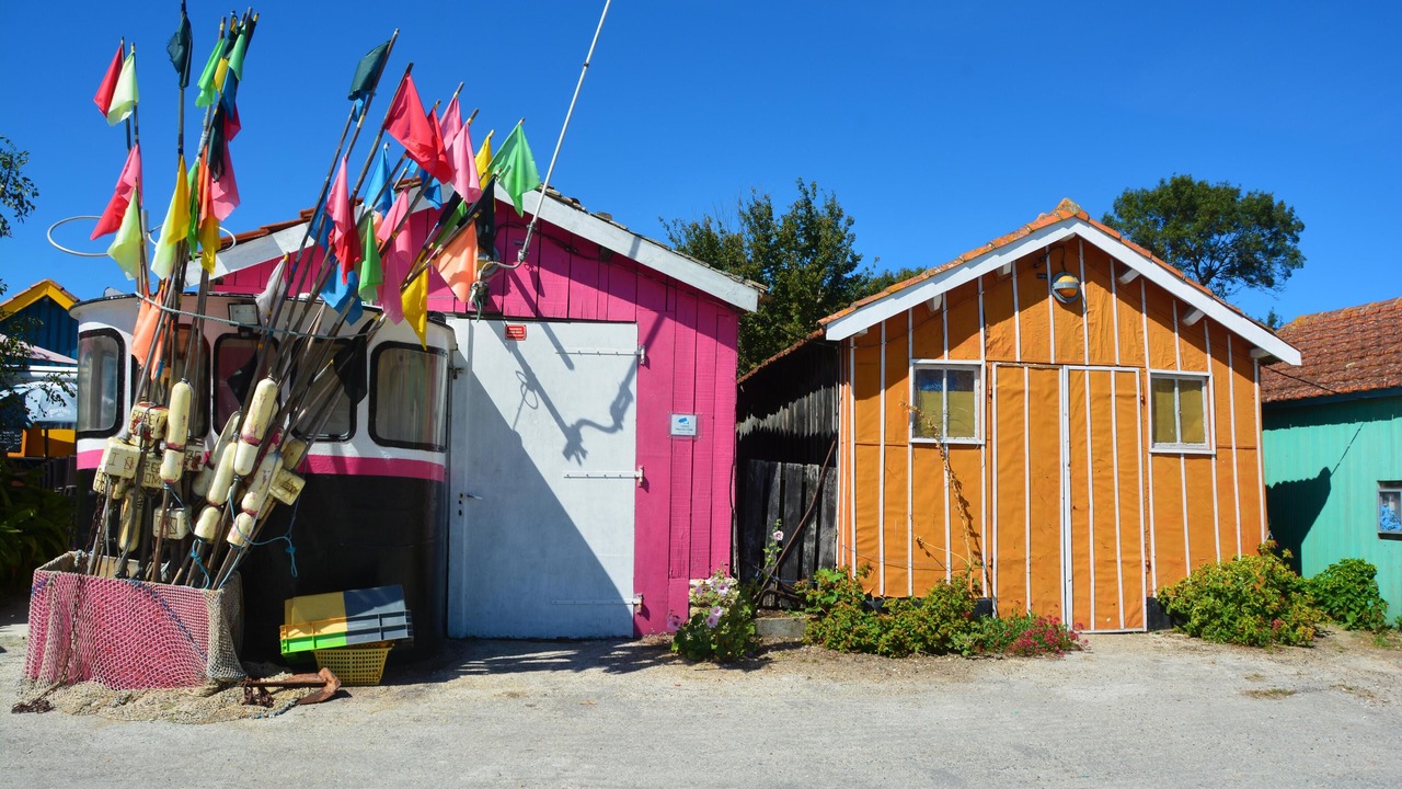 Photo of Outdoor in Dolus-d'Oleron