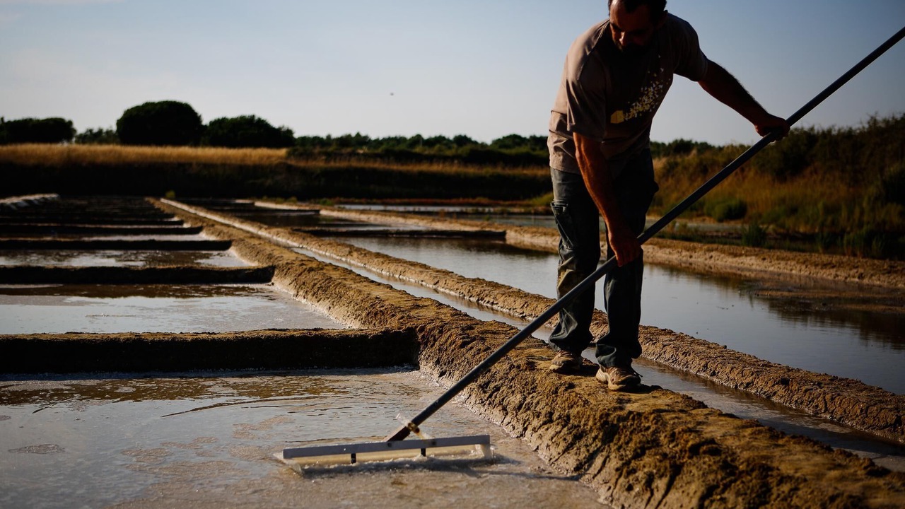 Photo of Bathroom in Dolus-d'Oleron