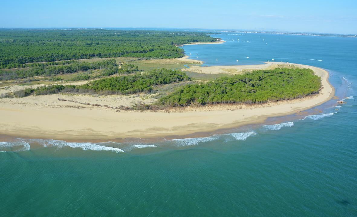 Photo of Others in Dolus-d'Oleron