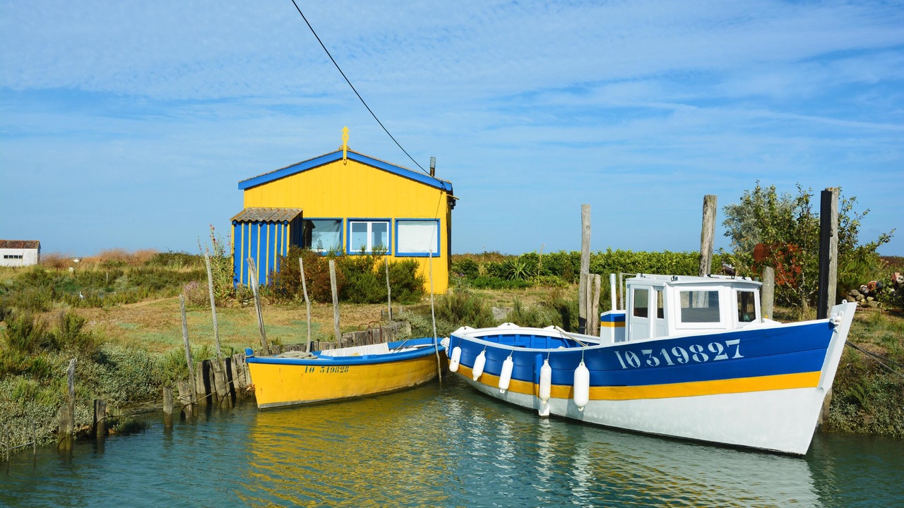 Photo of Others in Dolus-d'Oleron