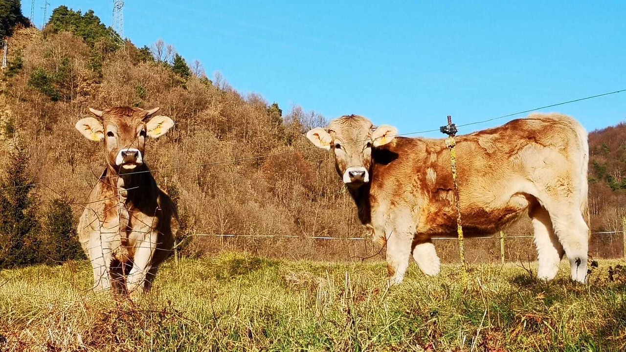 Photo of Outdoor in Vallfogona