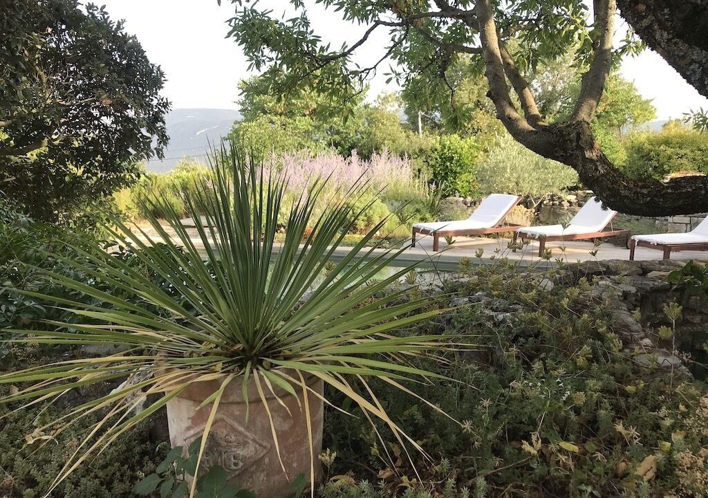 Photo of Others in Viens