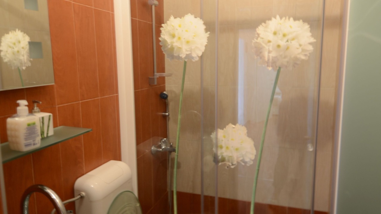 Photo of Bathroom in Veprinac