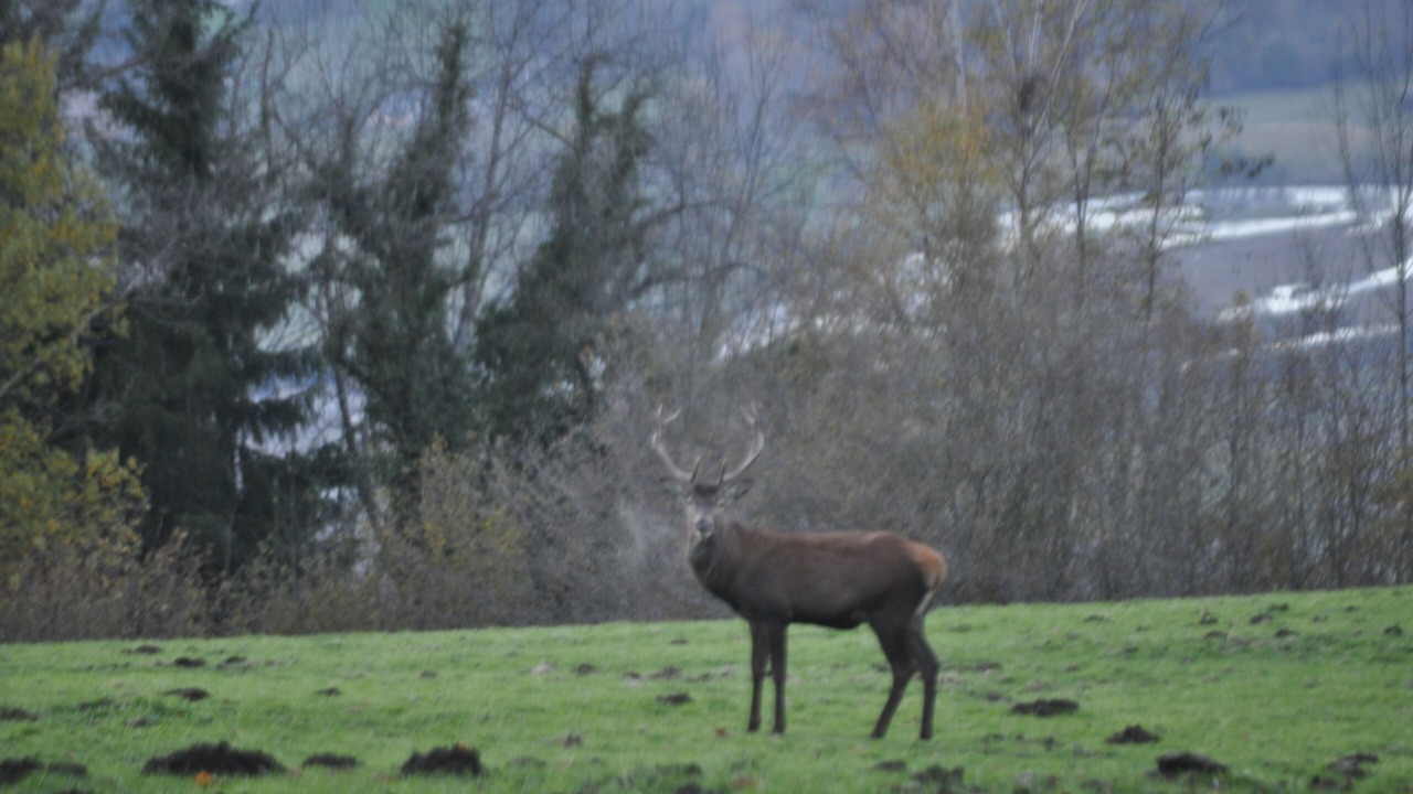 Photo of Outdoor in Beaucens