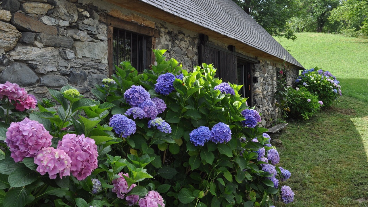 Photo of Outdoor in Beaucens