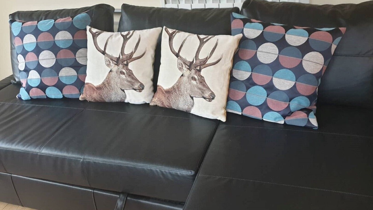 Photo of Others in Lewiston