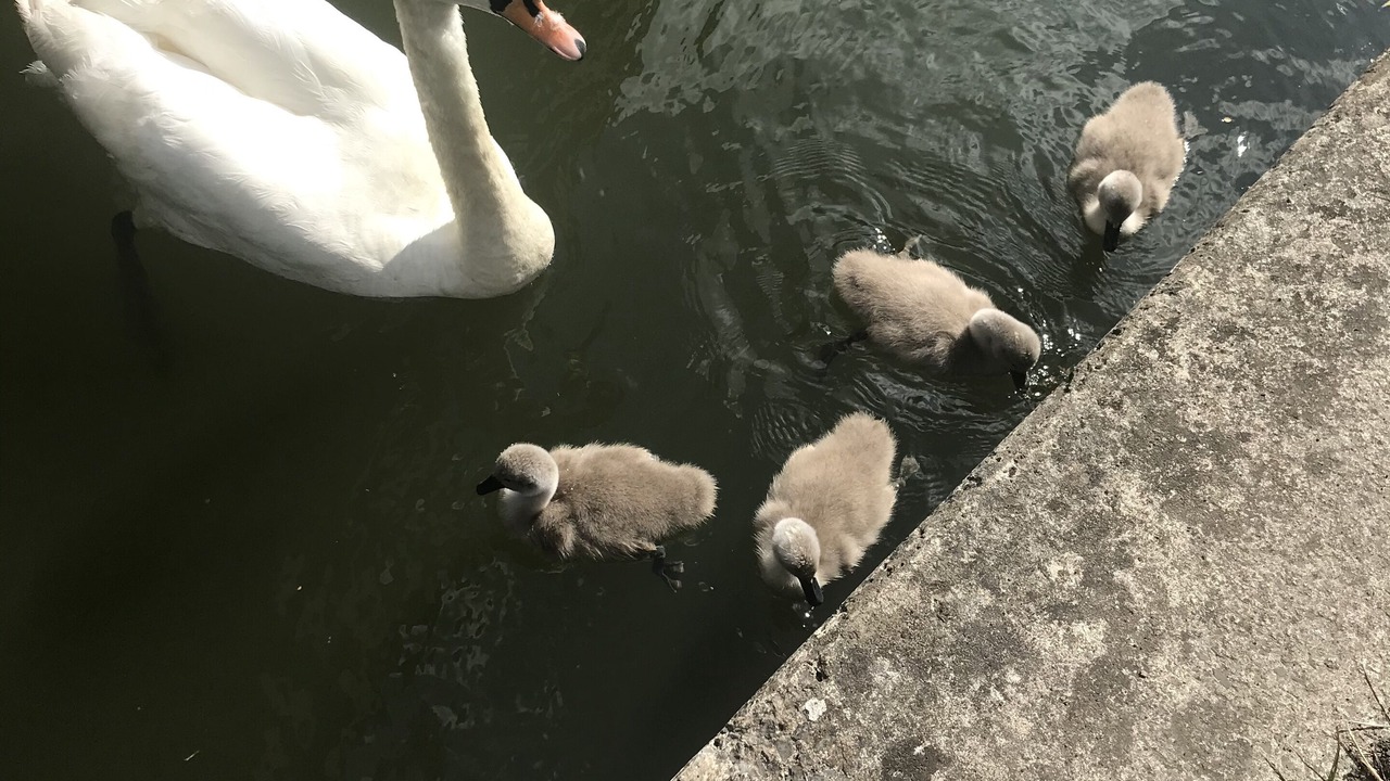 Photo of Outdoor in Bath