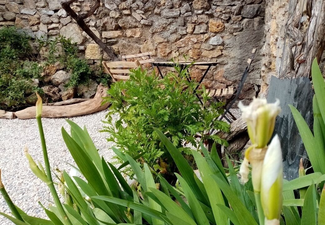 Photo of Outdoor in Villeseque-des-Corbieres