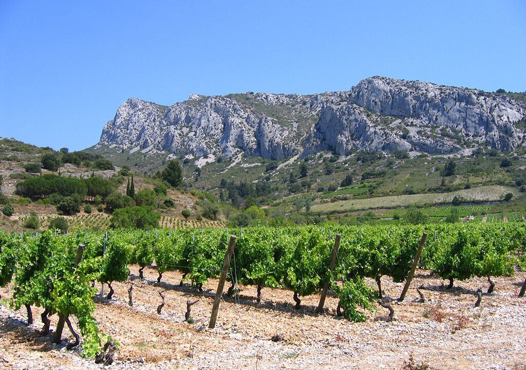 Photo of Outdoor in Villeseque-des-Corbieres