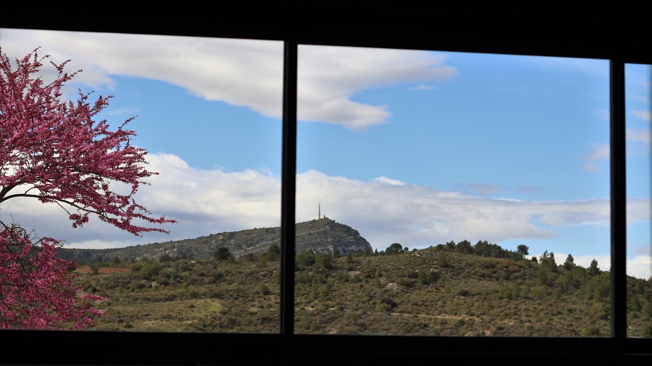 Photo of Others in Villeseque-des-Corbieres