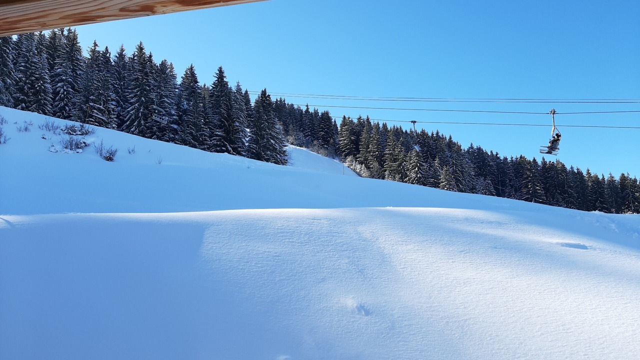 Photo of Others in Prapoutel