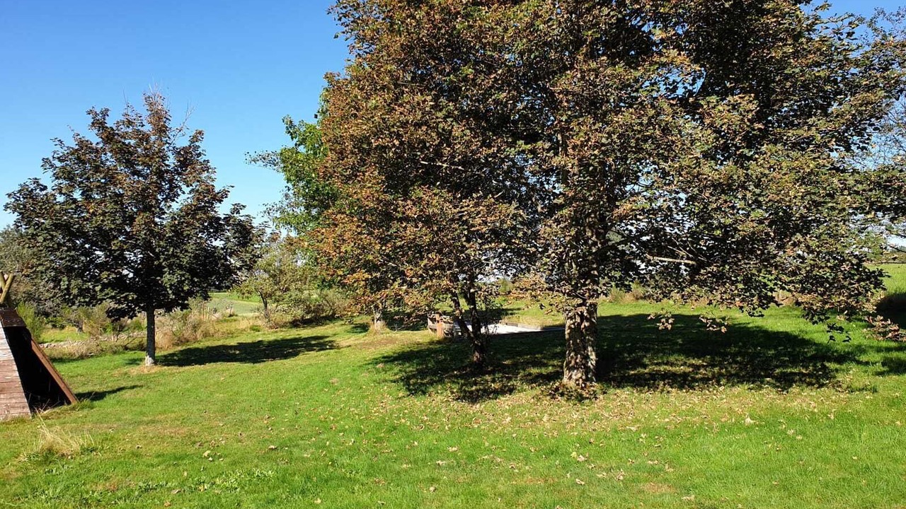 Photo of Outdoor in Champdray
