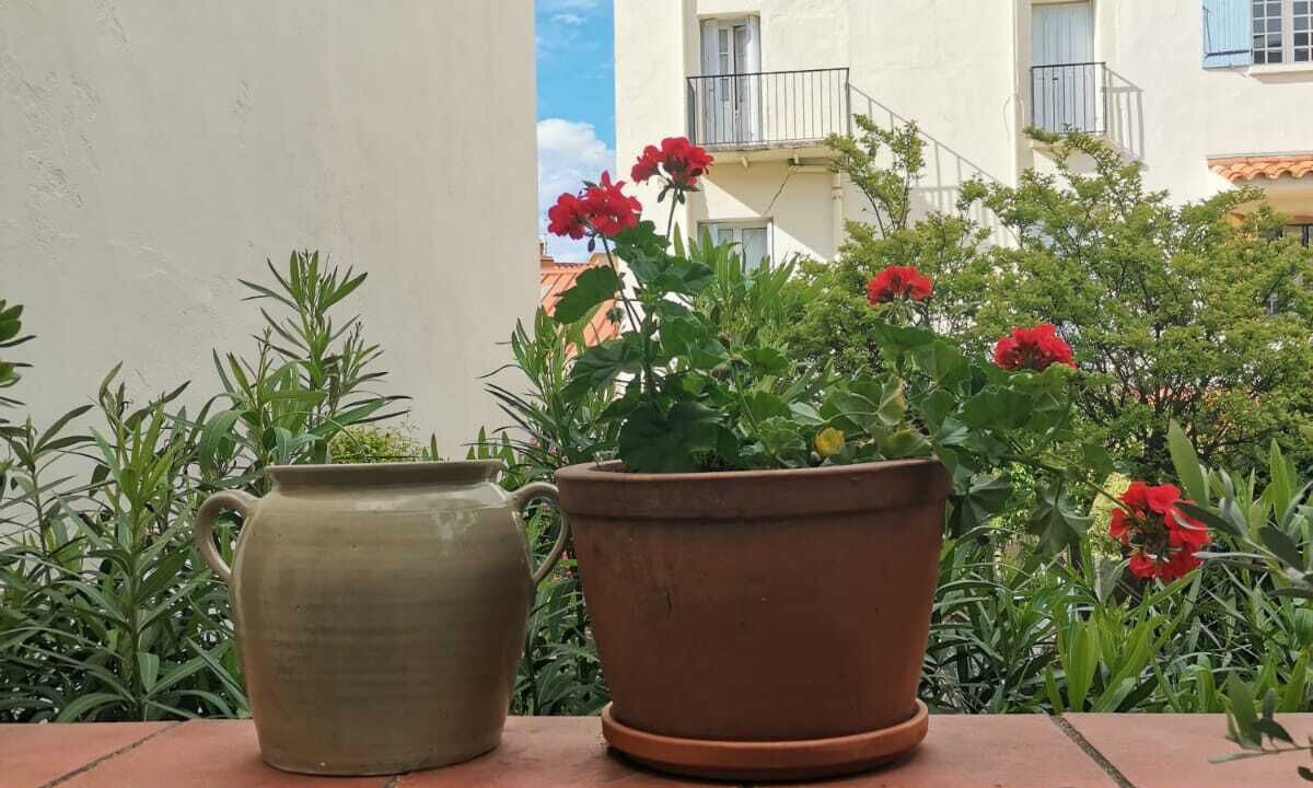 Photo of Outdoor in Ceret