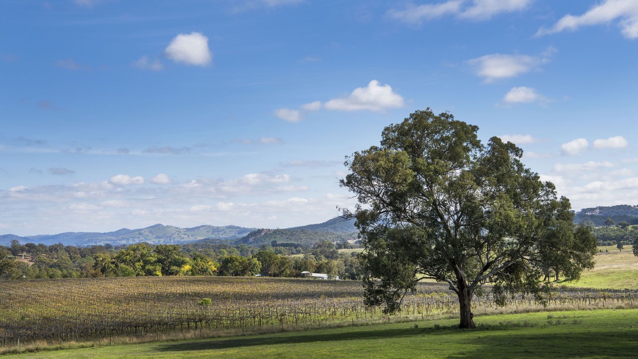 Photo of Others in Lue