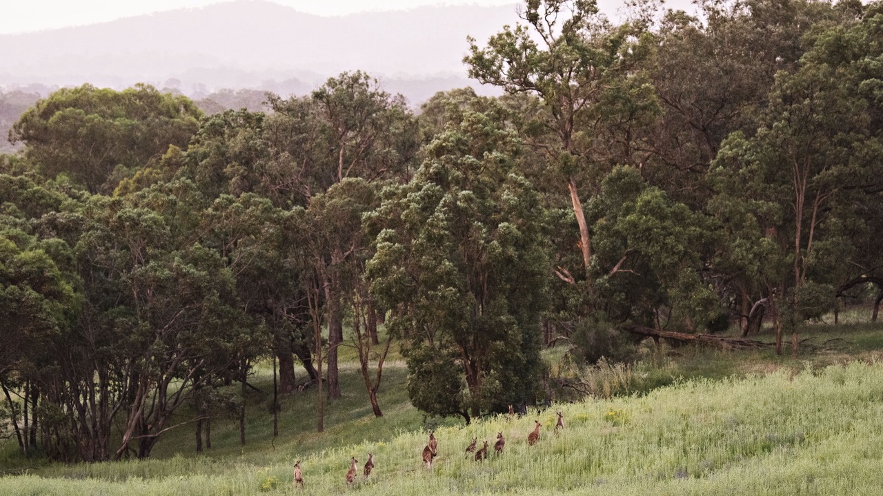 Photo of Outdoor in Lue