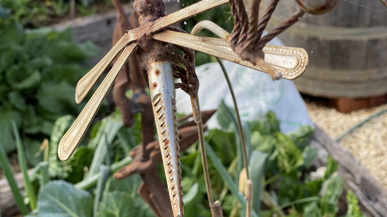 Photo of Outdoor in Lue