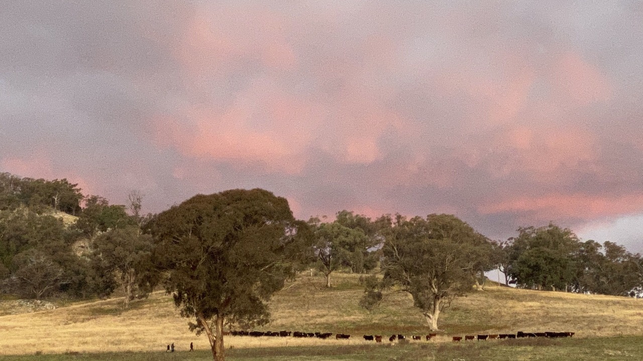 Photo of Others in Lue