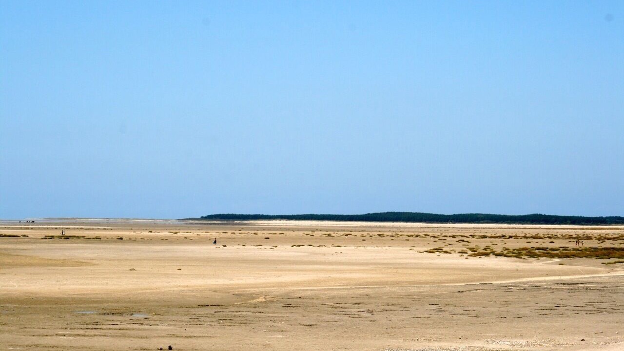 Photo of Others in Le Crotoy