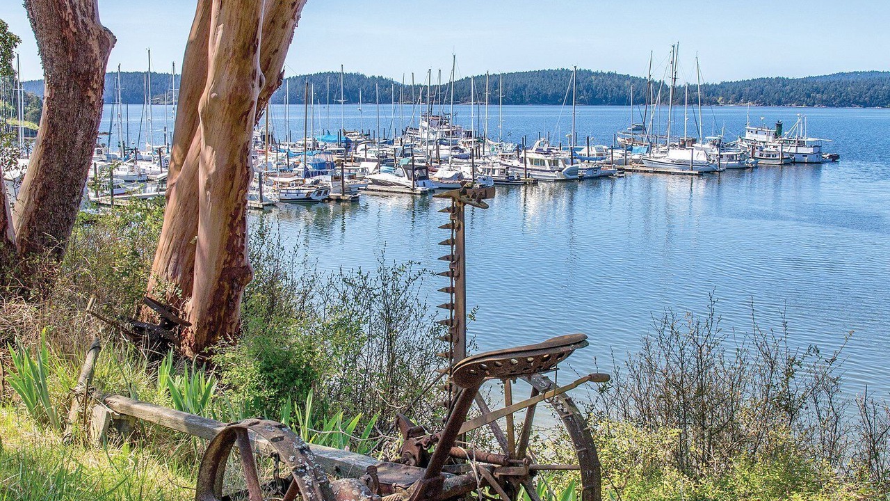 Photo of Others in Deer Harbor