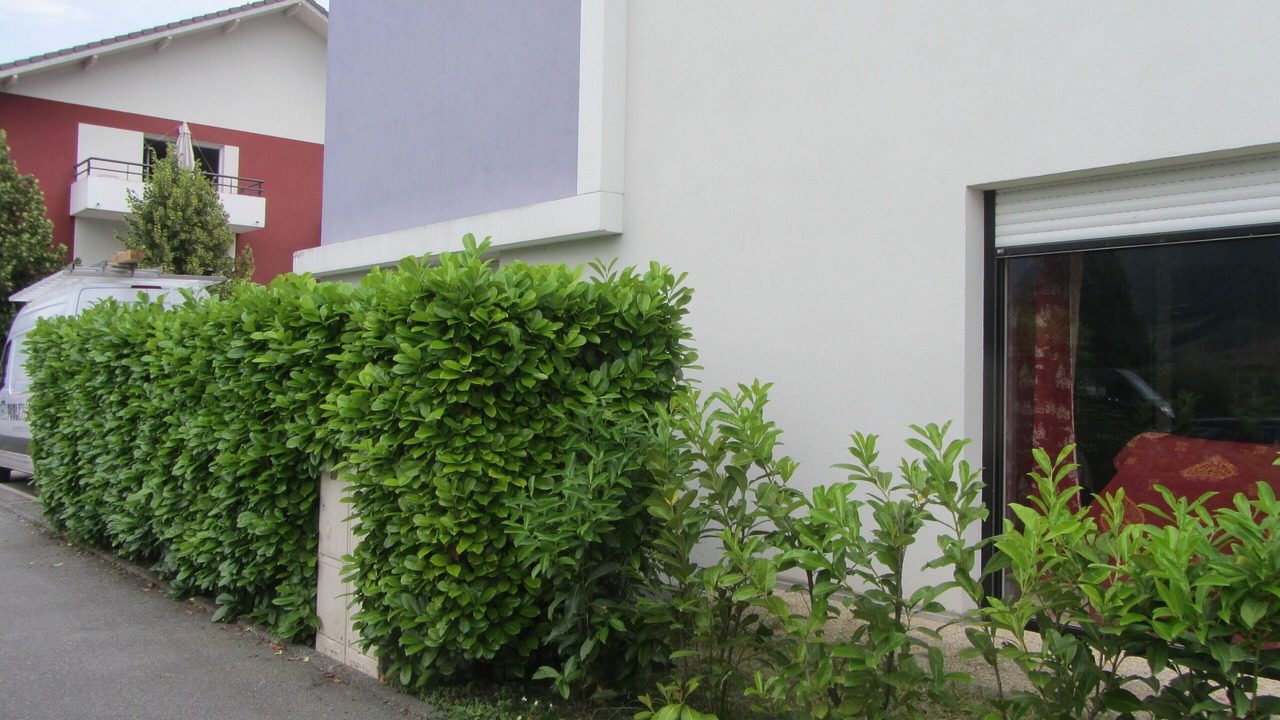 Photo of Outdoor in Faverges-Seythenex