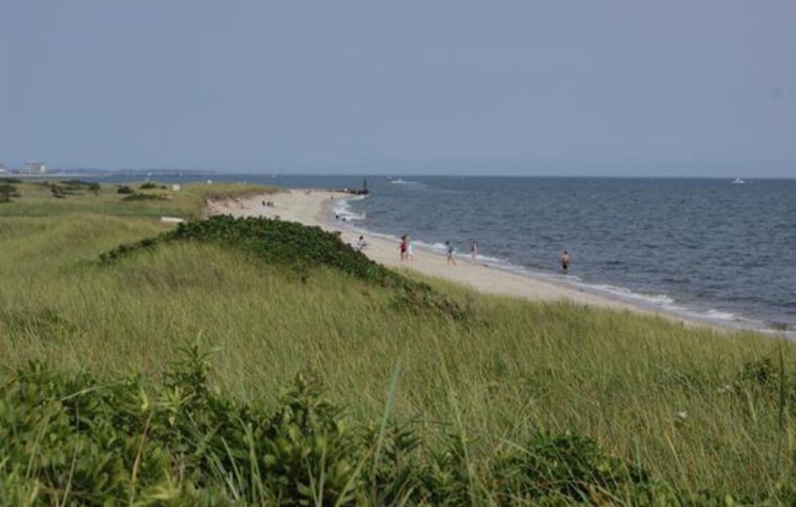 Photo of Others in Northwest Harwich