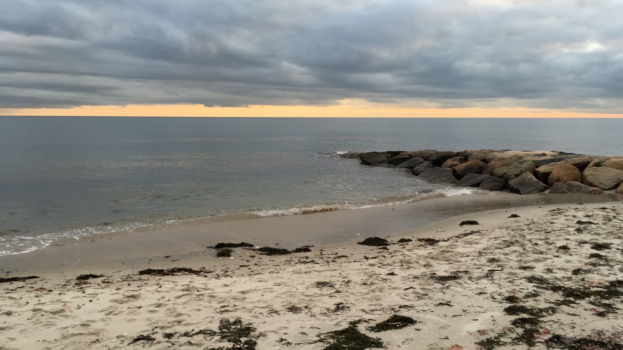 Photo of Others in Northwest Harwich