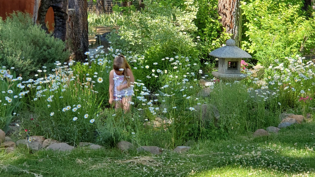 Photo of Others in Iron Horse