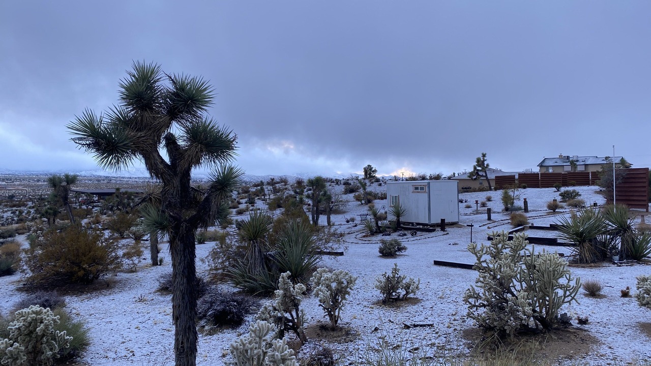 Photo of Others in Yucca Valley
