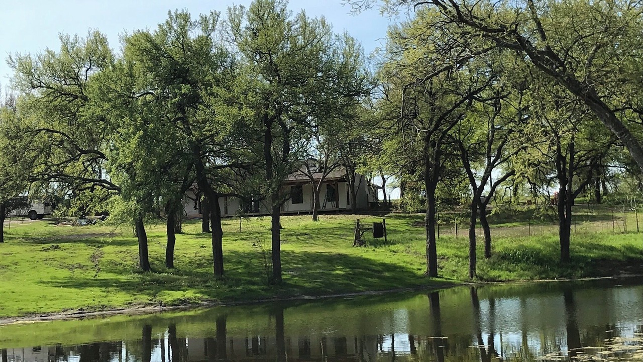 Photo of Others in Rockwall