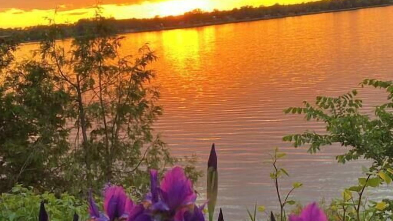 Photo of Others in Alburg