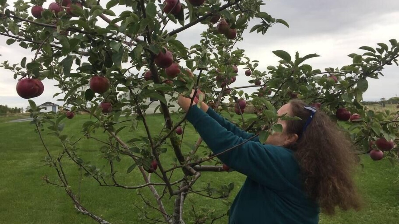 Photo of Others in Alburg