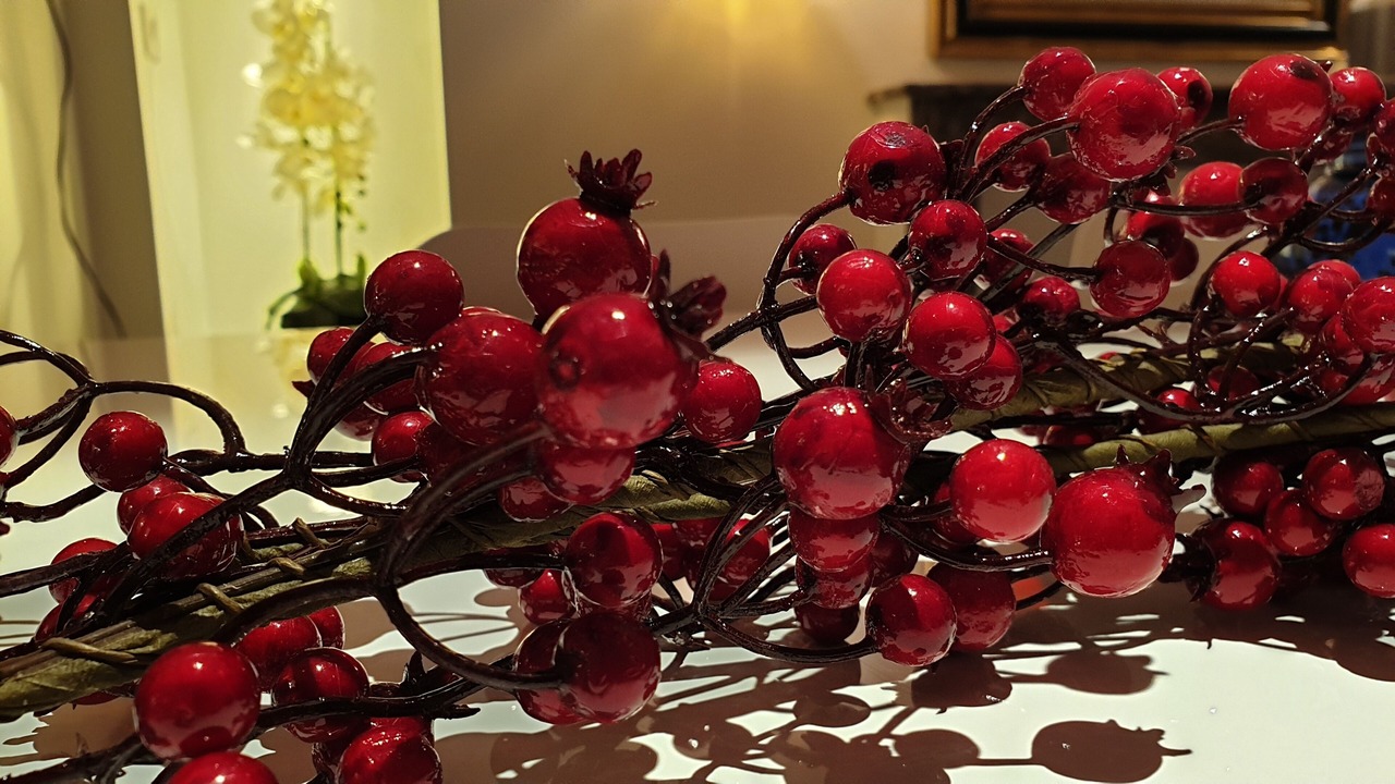 Photo of Others in Bagneres-de-Luchon