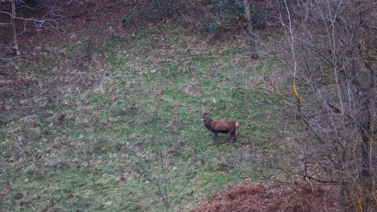 Photo of Outdoor in Juzet-de-Luchon