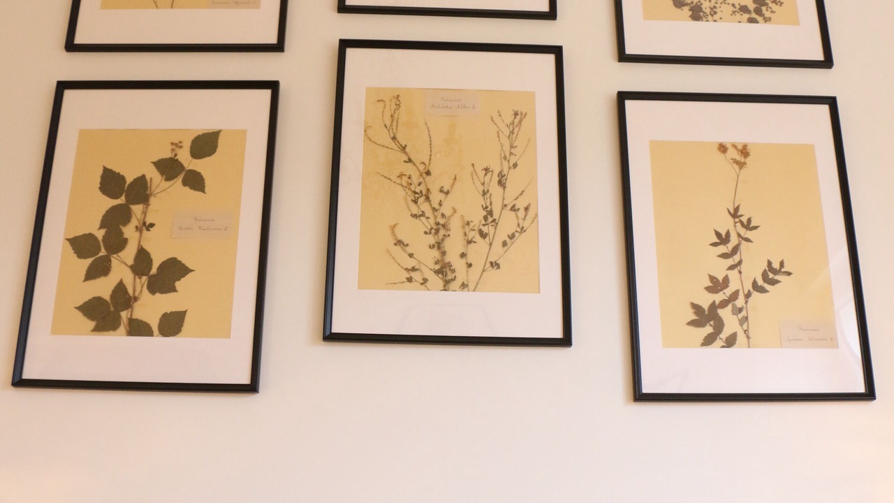 Photo of Bedroom in Juzet-de-Luchon