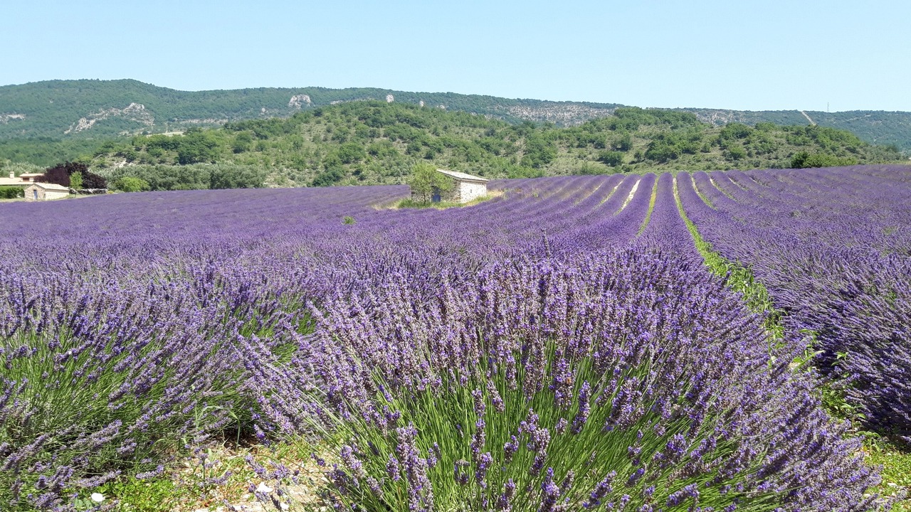Photo of Outdoor in Chateauneuf-Miravail