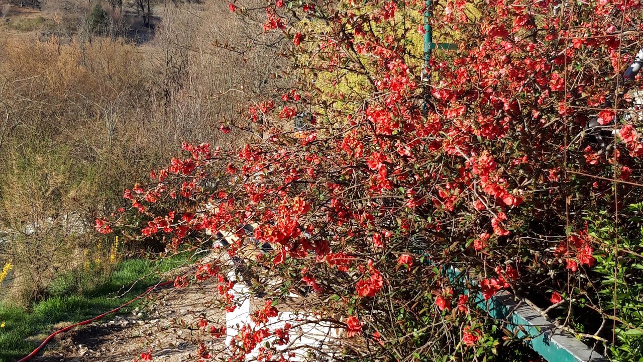 Photo of Outdoor in Chateauneuf-Miravail