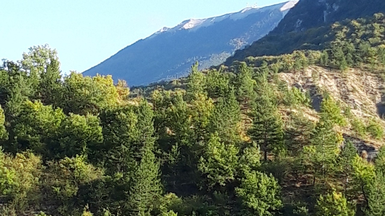 Photo of Others in Chateauneuf-Miravail
