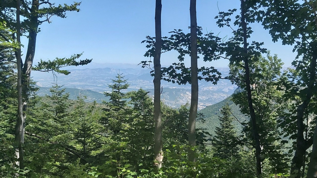 Photo of Outdoor in Chateauneuf-Miravail